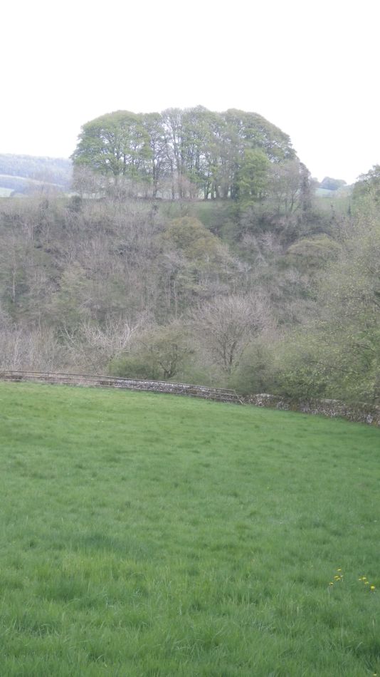 2019-04-28 63 Youlgreave and Over Haddon.JPG