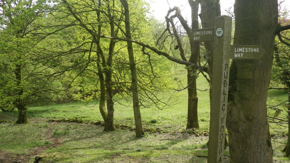 2019-04-28 64 Youlgreave and Over Haddon.JPG