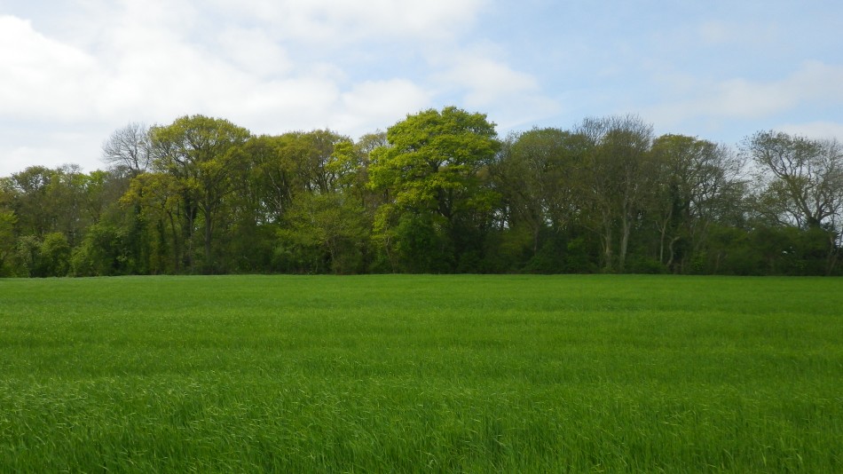 2017-05-07 08 Somerleyton and Blundeston.JPG