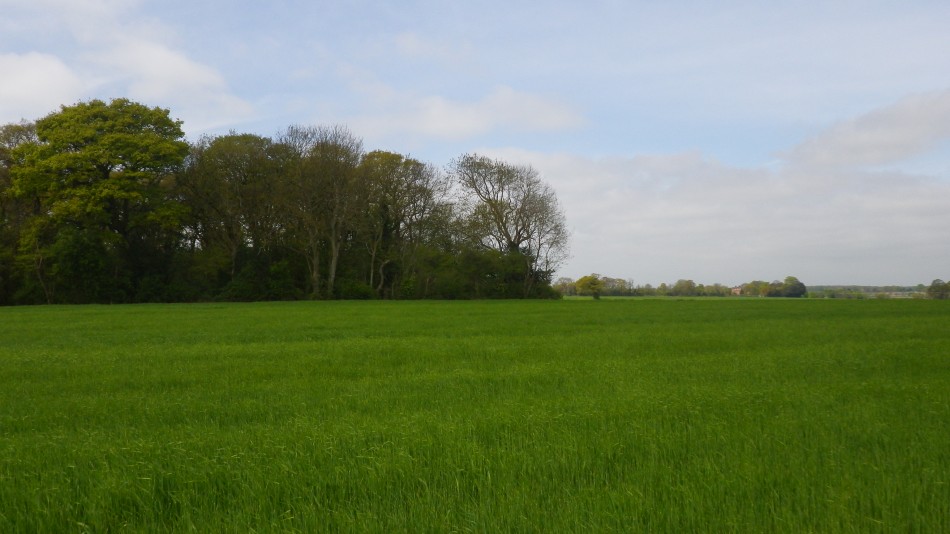 2017-05-07 09 Somerleyton and Blundeston.JPG