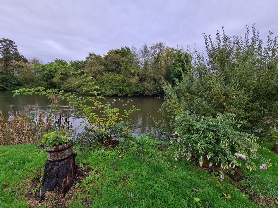 2022-10-30 07 Angles Way 25 - Somerleyton.jpg