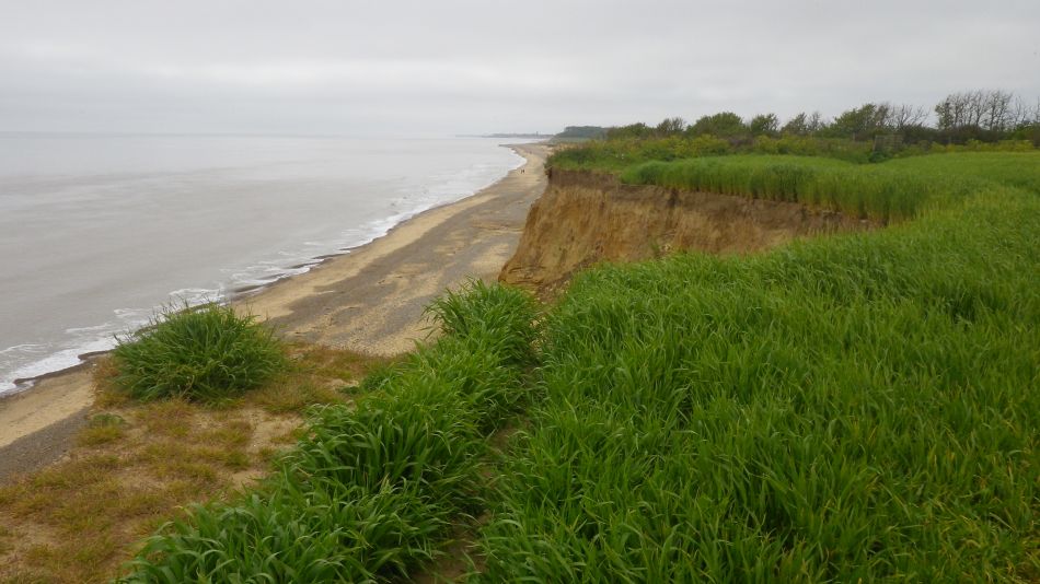 2018-05-20 04 Covehithe and Reydon.jpg