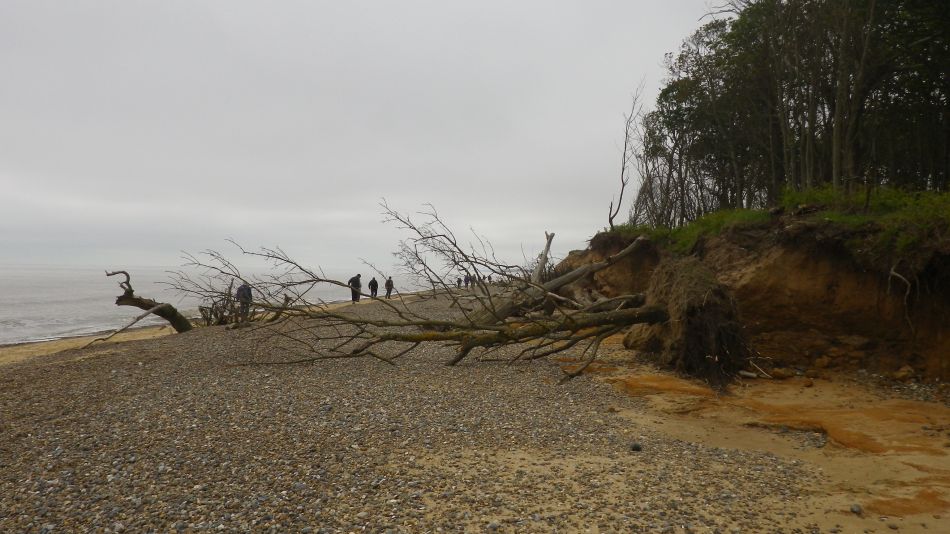 2018-05-20 10 Covehithe and Reydon.jpg