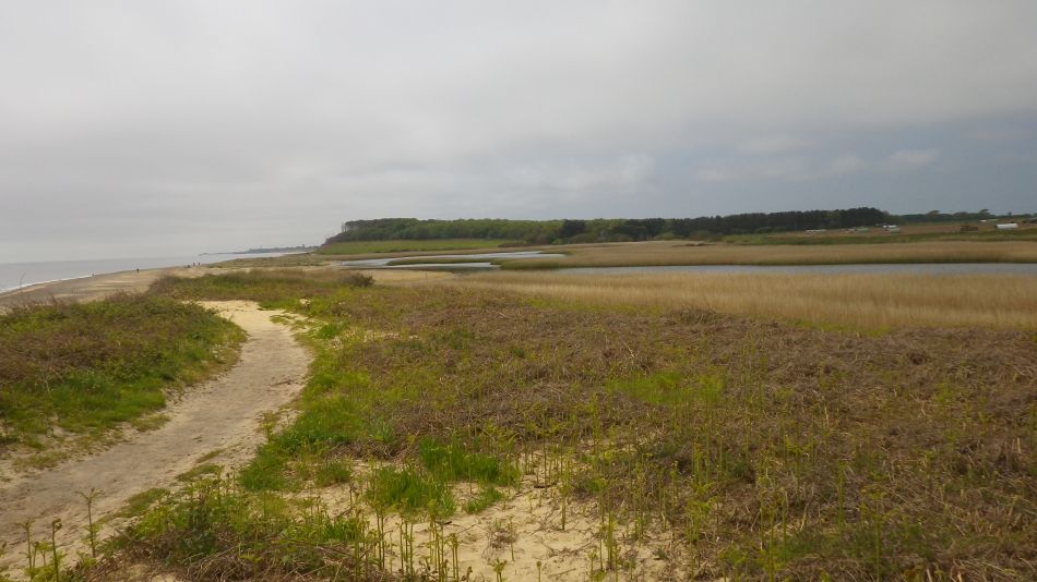 2018-05-20 12 Covehithe and Reydon.jpg