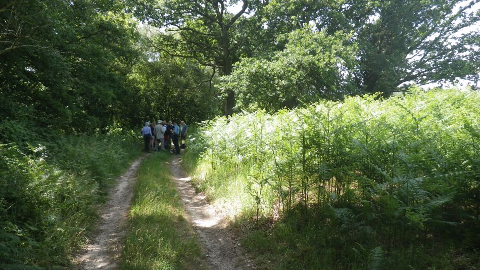 2018-07-24 02 Covehithe and Benacre Area - Pork Farmers Walk.jpg