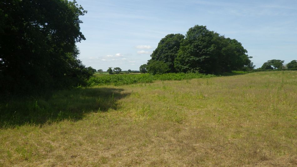 2018-07-24 03 Covehithe and Benacre Area - Pork Farmers Walk.jpg