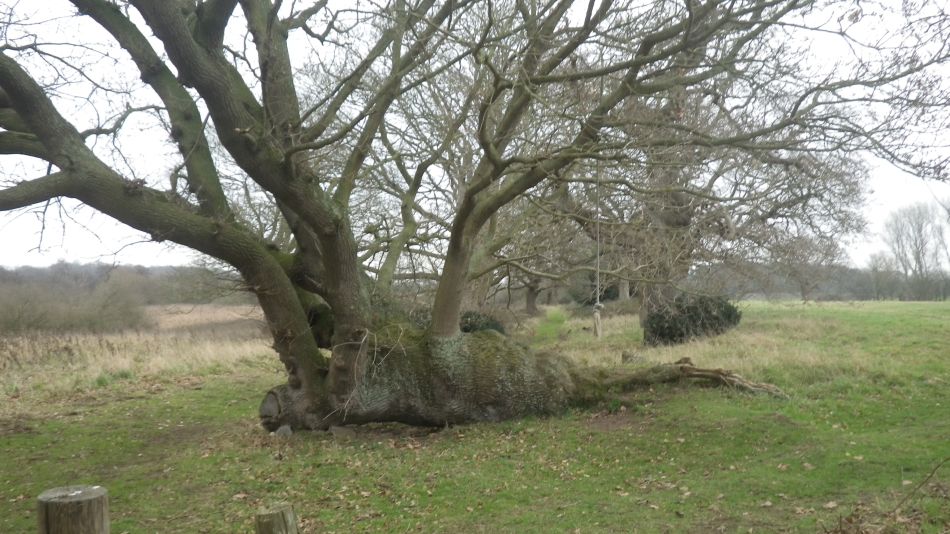 2019-01-06 02 Covehithe.jpg