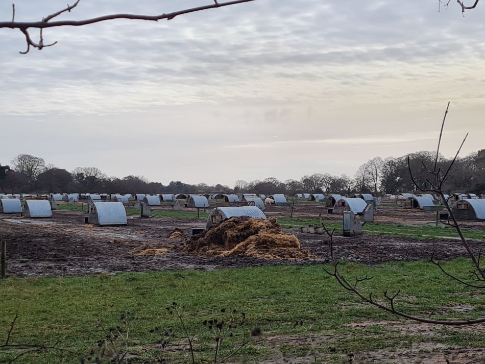 2024-02-07 01 Covehithe.jpg