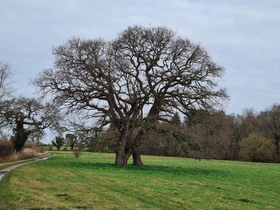 2024-02-07 02 Covehithe.jpg