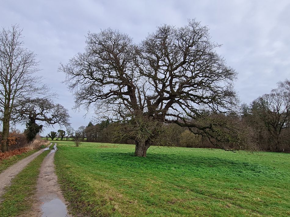 2024-02-07 03 Covehithe.jpg