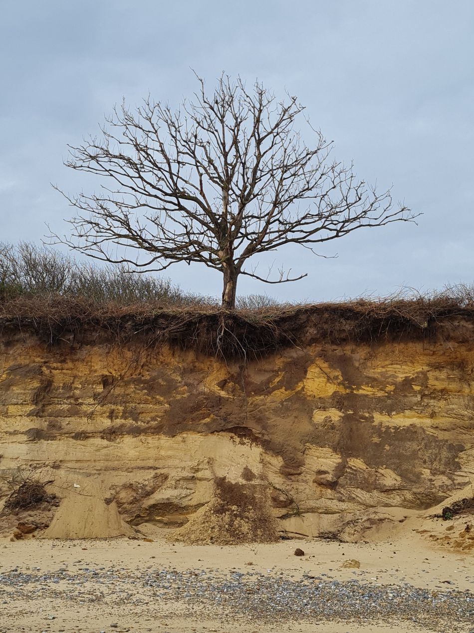 2024-02-07 17 Covehithe.jpg