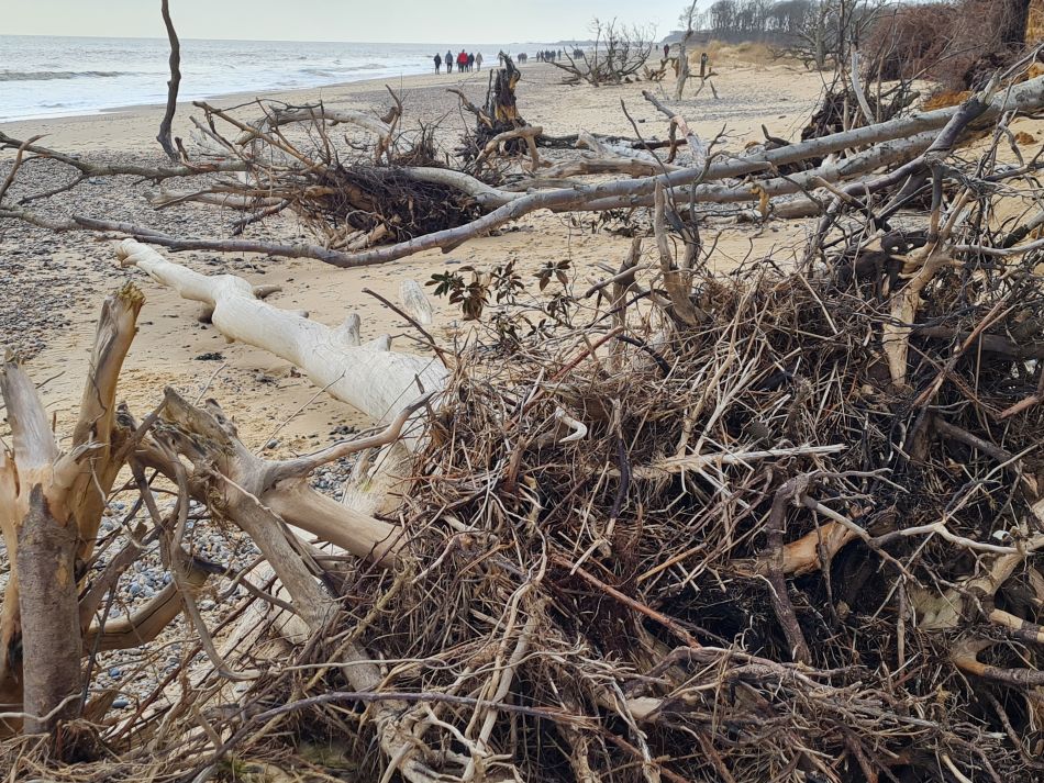 2024-02-07 21 Covehithe.jpg