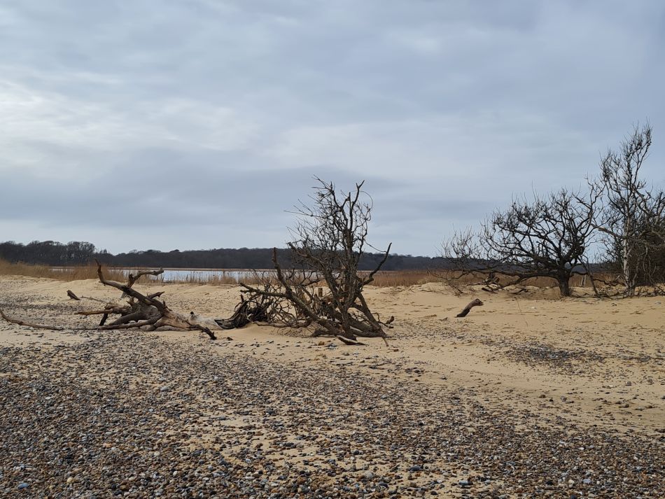 2024-02-07 22 Covehithe.jpg