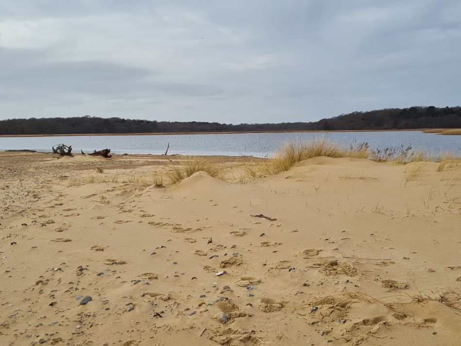 2024-02-07 24 Covehithe.jpg