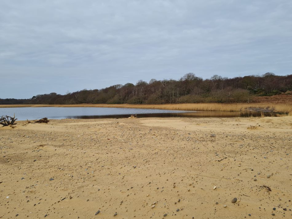 2024-02-07 25 Covehithe.jpg