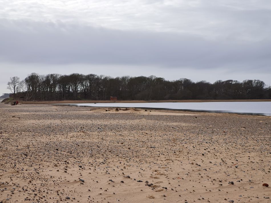 2024-02-07 26 Covehithe.jpg