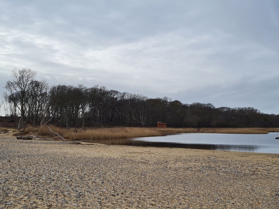 2024-02-07 28 Covehithe.jpg