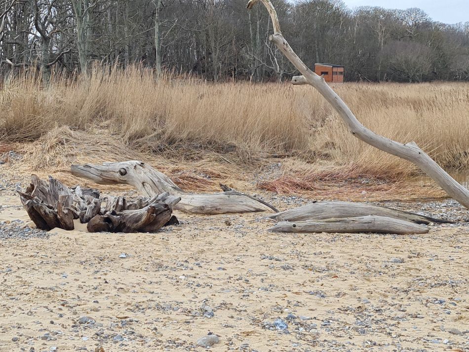 2024-02-07 29 Covehithe.jpg