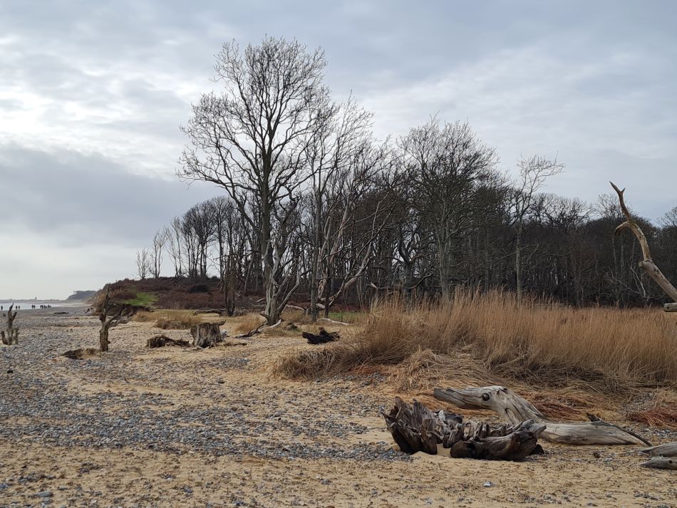 2024-02-07 30 Covehithe.jpg