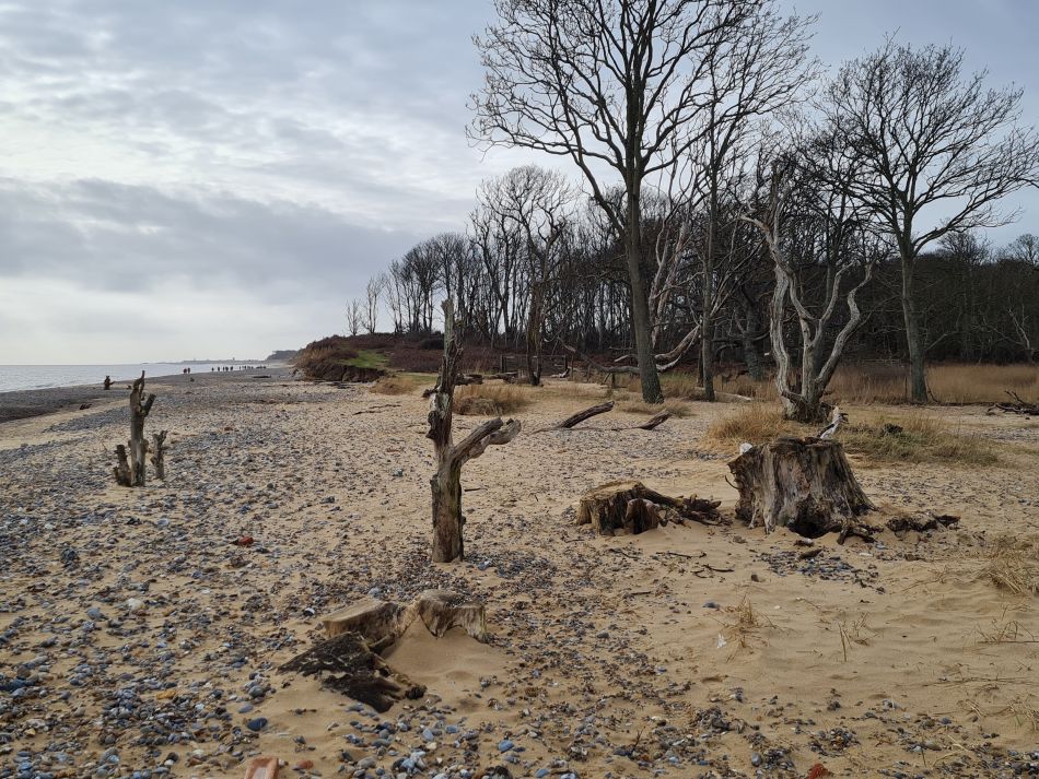 2024-02-07 31 Covehithe.jpg