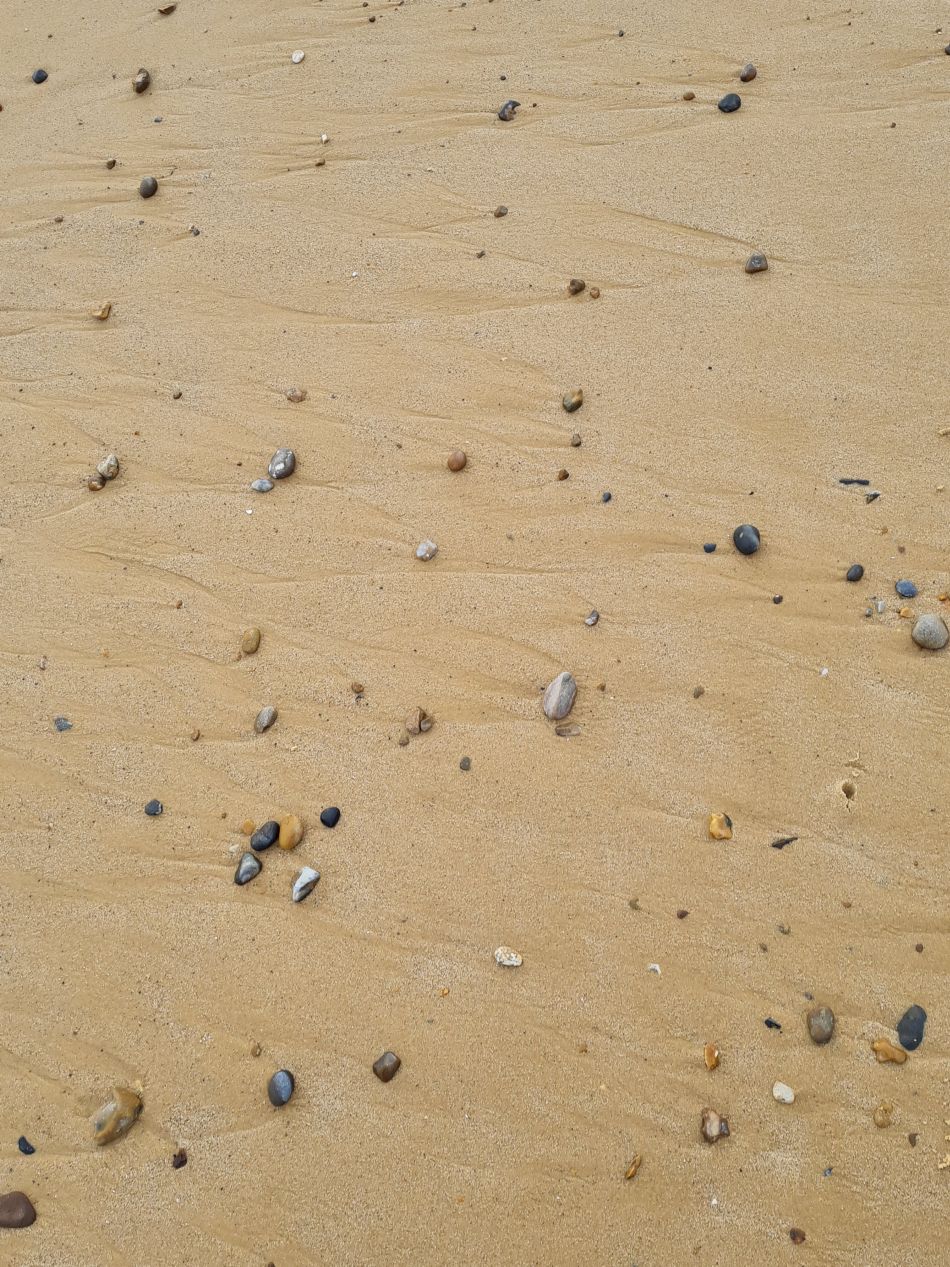 2024-02-07 33 Covehithe.jpg