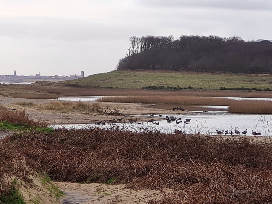 2024-02-07 36 Covehithe.jpg