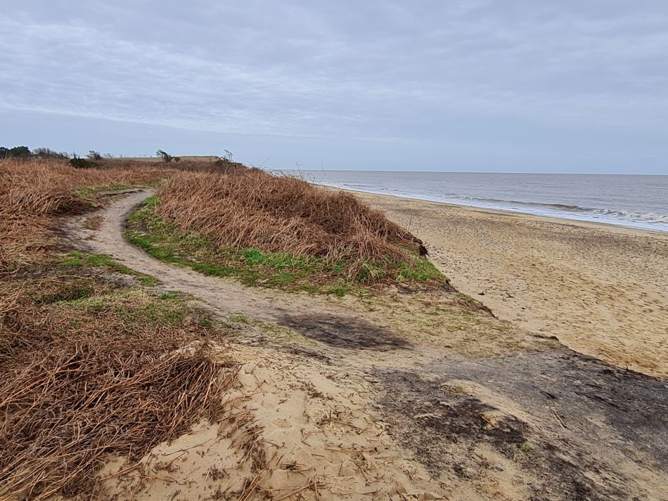2024-02-07 37 Covehithe.jpg