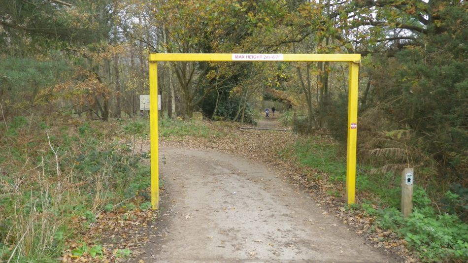 2020-09-15 03 Waldringfield and Martlesham.jpg