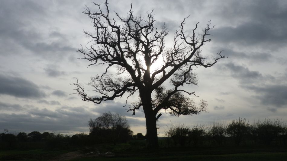 2020-09-15 10 Waldringfield and Martlesham.jpg