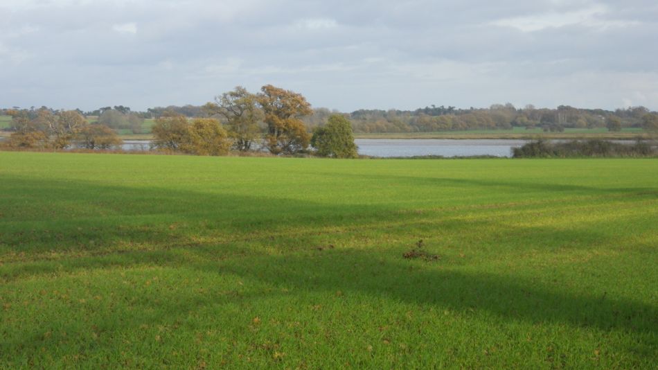 2020-09-15 11 Waldringfield and Martlesham.jpg