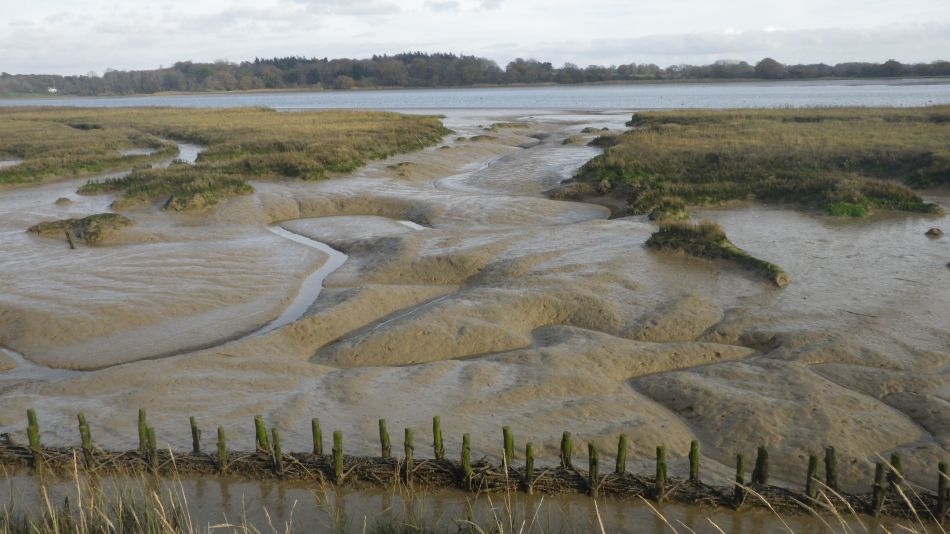 2020-09-15 17 Waldringfield and Martlesham.jpg