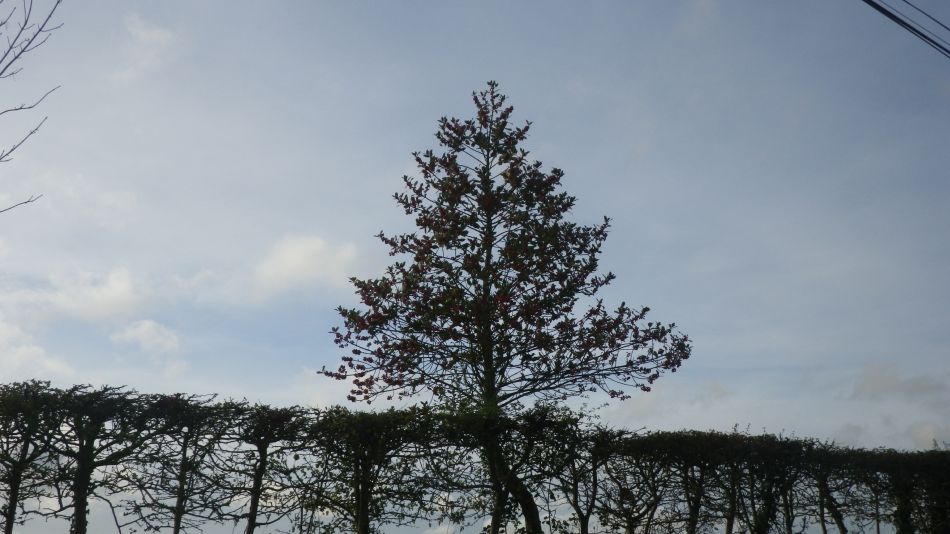 2020-09-15 18 Waldringfield and Martlesham.jpg