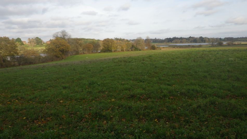 2020-09-15 19 Waldringfield and Martlesham.jpg