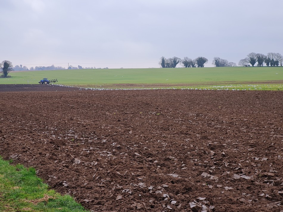 2015-06-07 05 Hopton Thelnetham Hinderclay.jpg