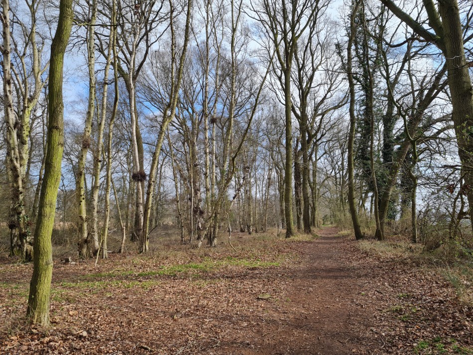 2015-06-07 11 Hopton Thelnetham Hinderclay.jpg