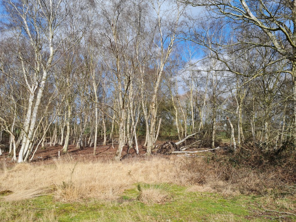 2015-06-07 12 Hopton Thelnetham Hinderclay.jpg