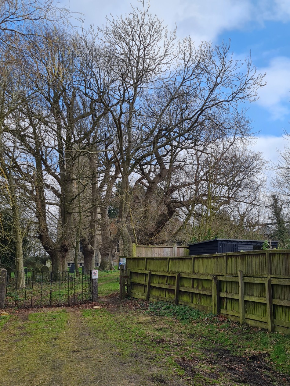 2015-06-07 13 Hopton Thelnetham Hinderclay.jpg