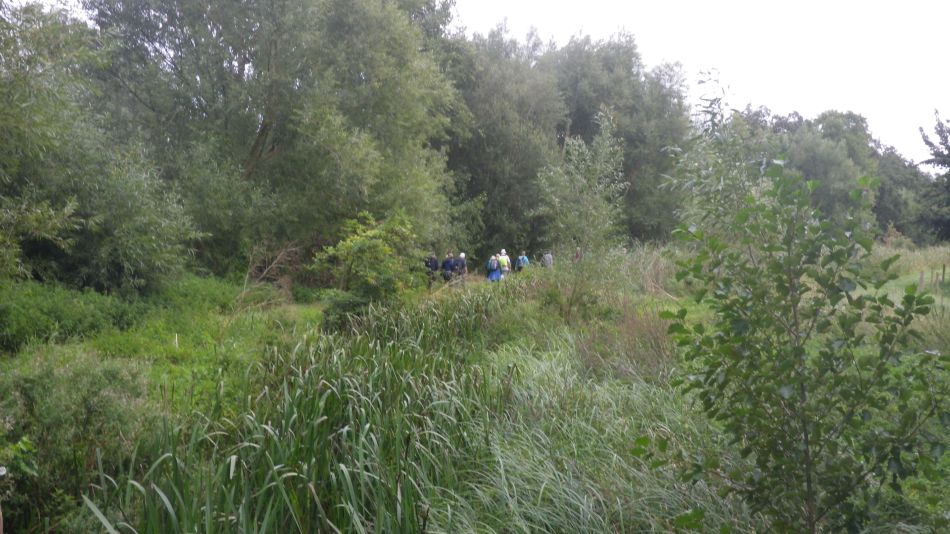 2019-09-07 25 Redgrave Hopton Thelnetham.jpg