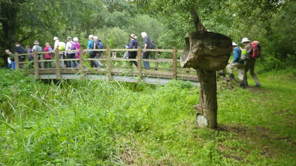 2019-09-07 26 Redgrave Hopton Thelnetham.jpg