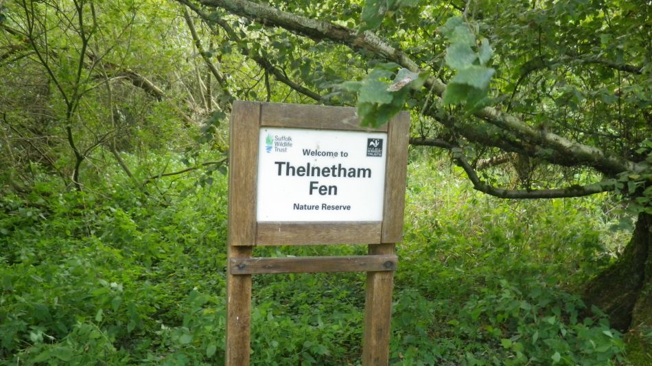 2019-09-07 28 Redgrave Hopton Thelnetham.jpg