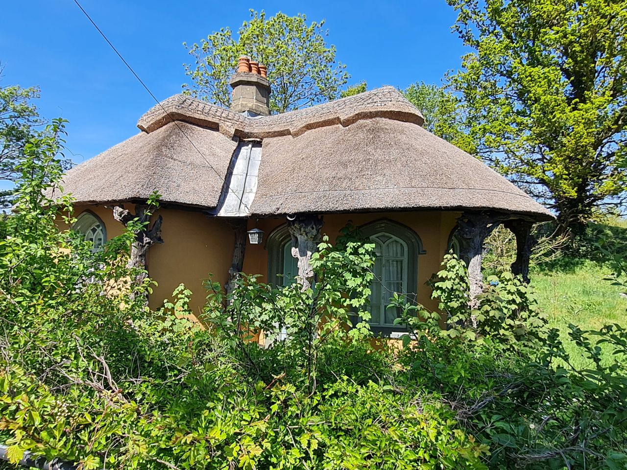 2025-04-29 23 Halesworth and Darsham.jpg