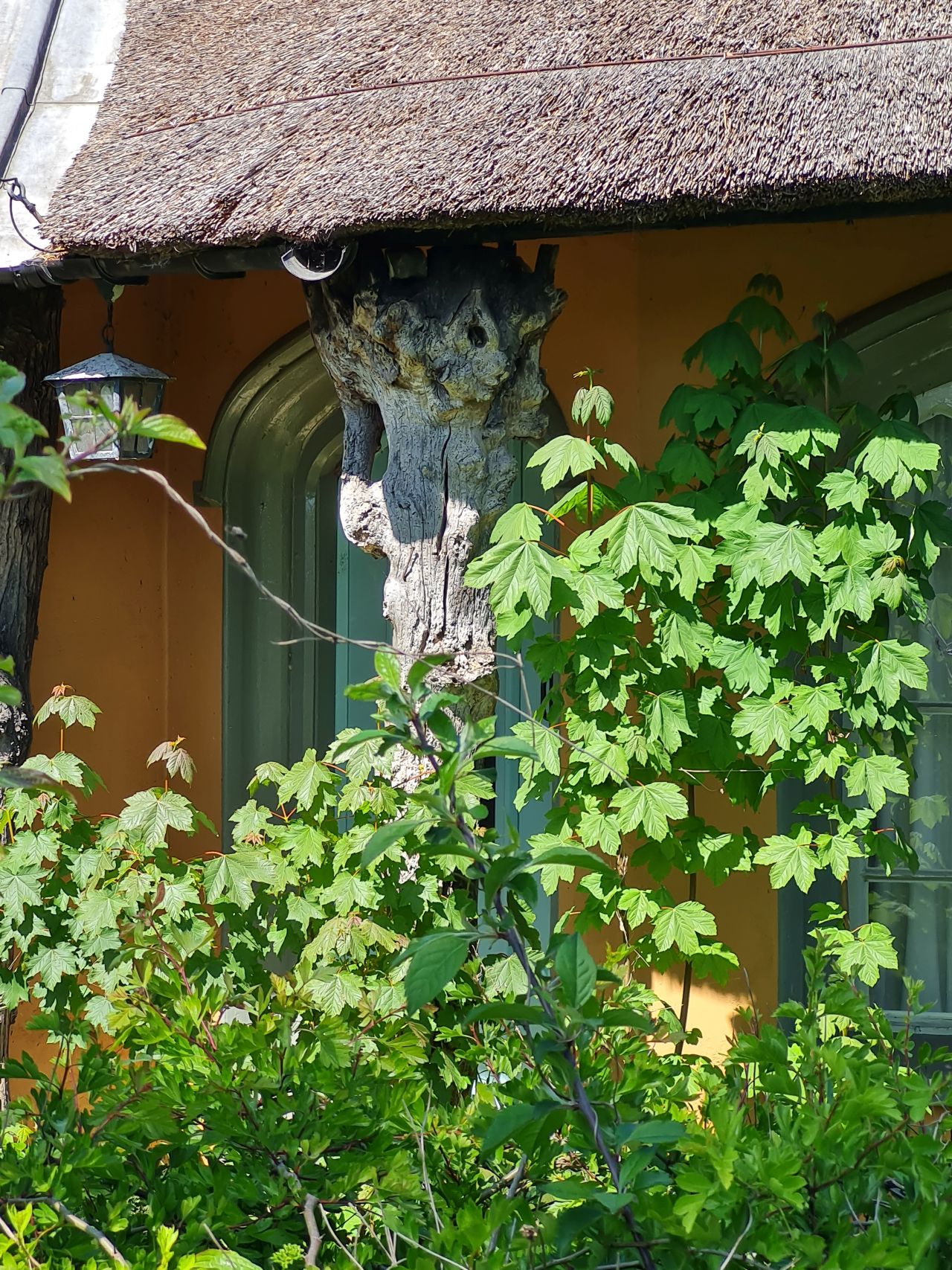 2025-04-29 24 Halesworth and Darsham.jpg