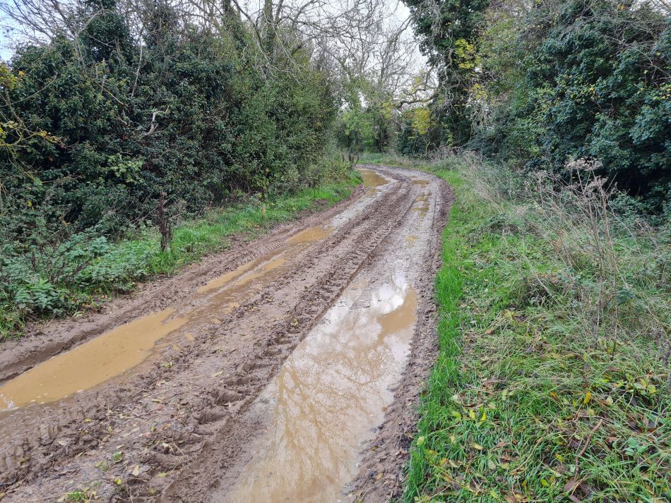 2022-11-08 08 Great Massingham.jpg