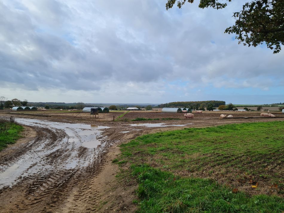 2022-11-08 09 Great Massingham.jpg