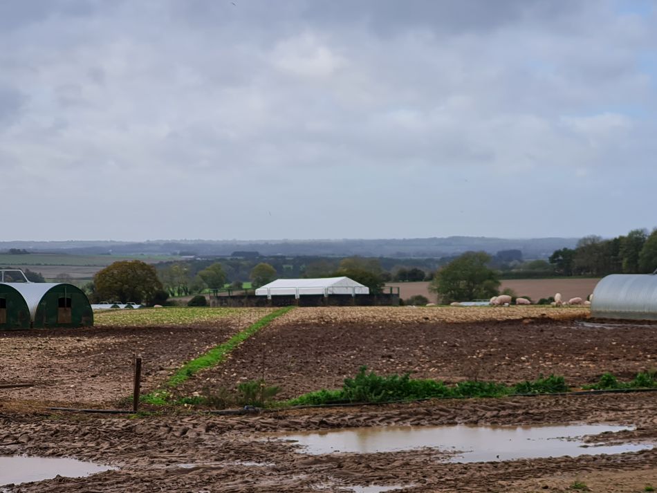 2022-11-08 10 Great Massingham.jpg