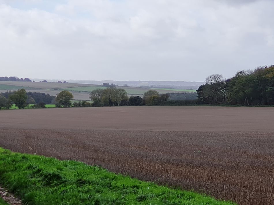 2022-11-08 12 Great Massingham.jpg