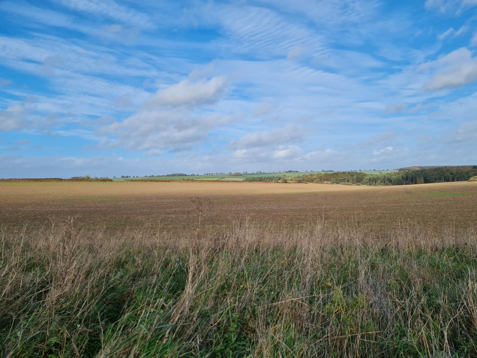 2022-11-08 16 Great Massingham.jpg