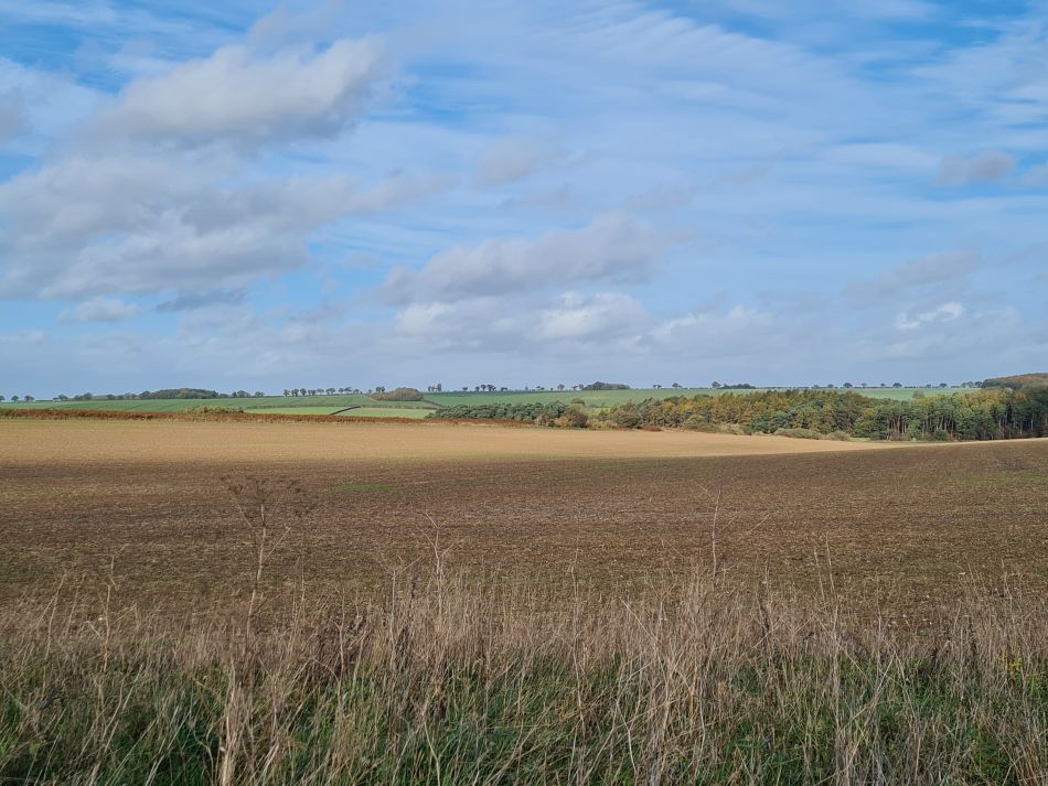 2022-11-08 17 Great Massingham.jpg