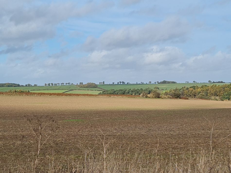 2022-11-08 18 Great Massingham.jpg