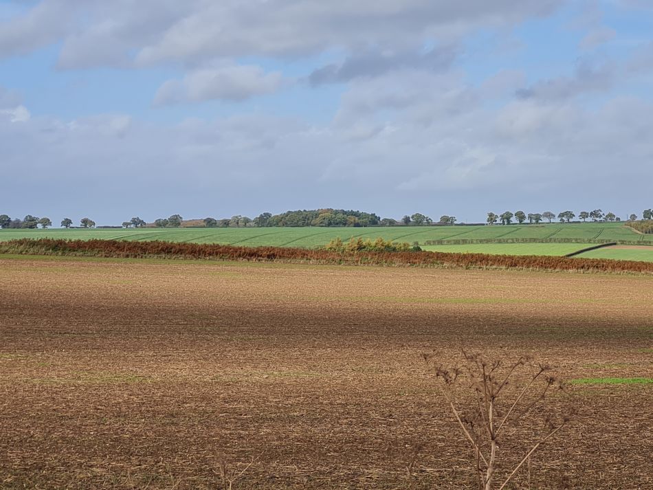 2022-11-08 19 Great Massingham.jpg